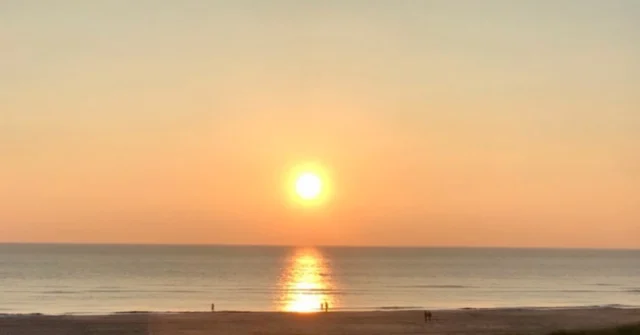 Ladies aufgepasst:
 
Du reist nicht gern alleine? Komme mit nach Teneriffa im Herbst🍁. Angenehme Temperaturen und eine grandiose Natur erwarten dich. Mache einen Spaziergang entlang des Meeres, besuche den Botanischen Garten oder unternehme einen Ausflug in die historisch interessante Universitätsstadt La Laguna, die eine schöne Altstadt hat 🌊🌱. Interesse? Dann melde dich bei uns: eva@ladies-reisen.de